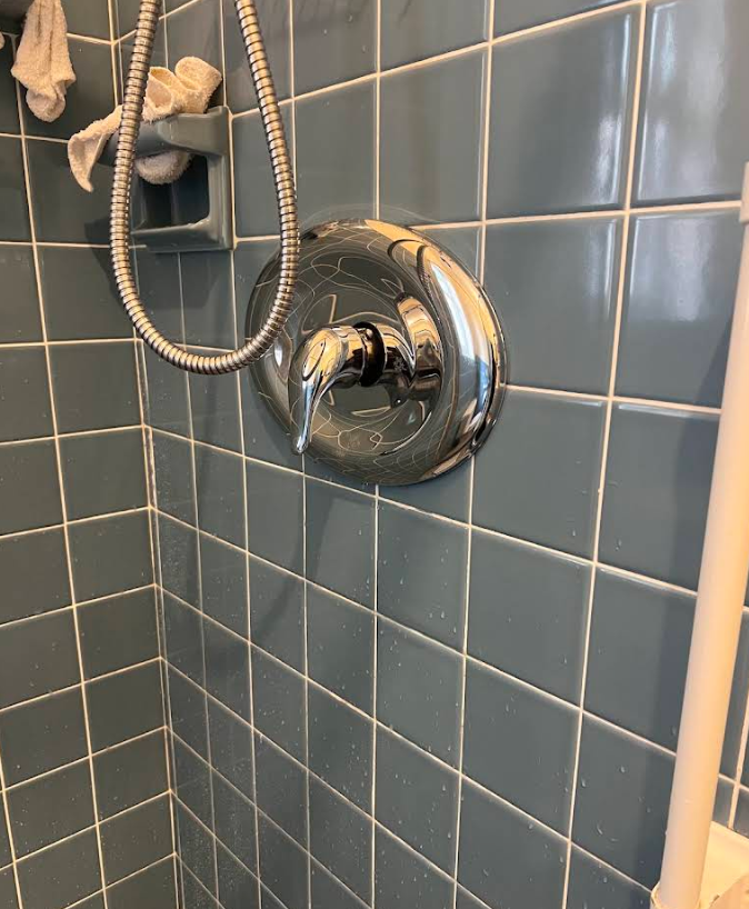 Shower wall with chrome control knob, handheld shower hose, and blue tiles