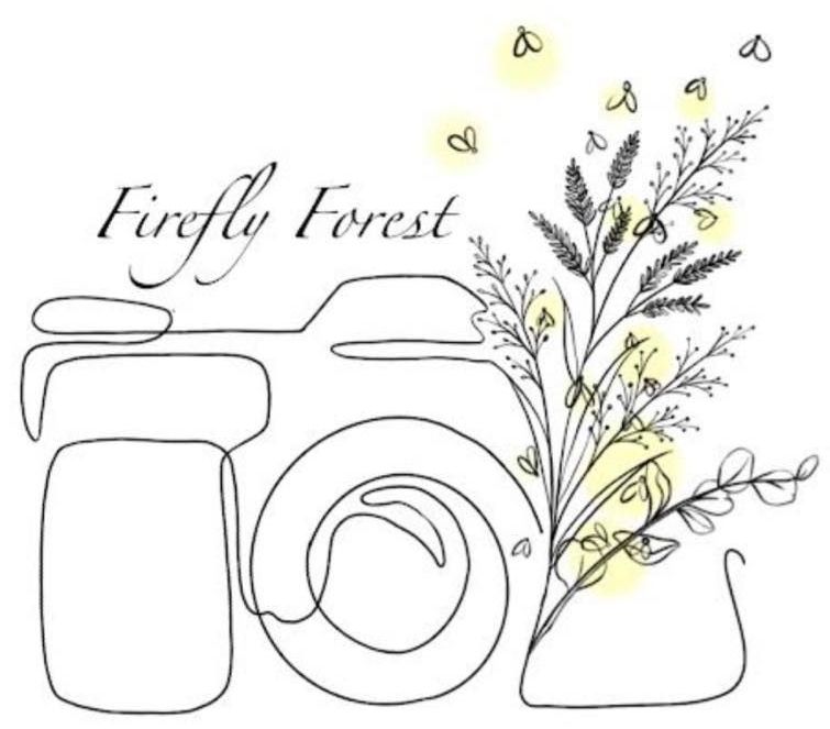 Camera Icon