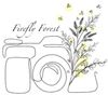 Camera Icon