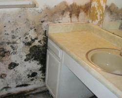 Mold-covered bathroom wall beside a sink and countertop with severe water damage