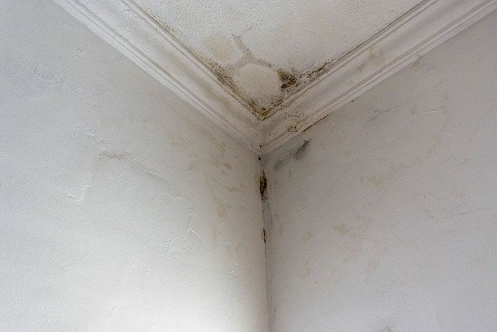 Water-damaged ceiling corner with peeling paint and mold stains
