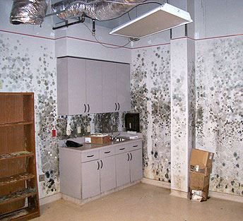 Mold-covered utility room with cabinets, sink, exposed ducts, and stained walls and ceiling
