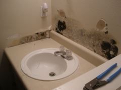 Bathroom sink with mold and damage along the wall behind it, and pliers on the counter