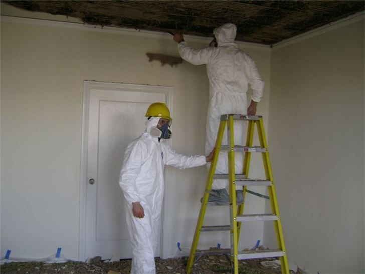 Two workers in protective suits inspect a moldy ceiling, one standing on a ladder and one below.
