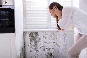Person inspecting mold on a white cabinet or wall in a bright kitchen