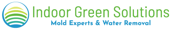 Indoor Green Solutions logo with green and blue circular wave icon and tagline &ldquo;Mold Experts & Water Removal&rdquo;