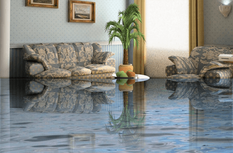 Living room flooded with water, reflecting sofas, a plant, and sunlight through a window.