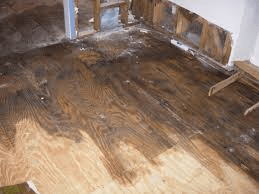 Water-damaged wooden floor with dark stains and peeling walls in a worn room