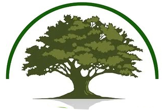icona logo