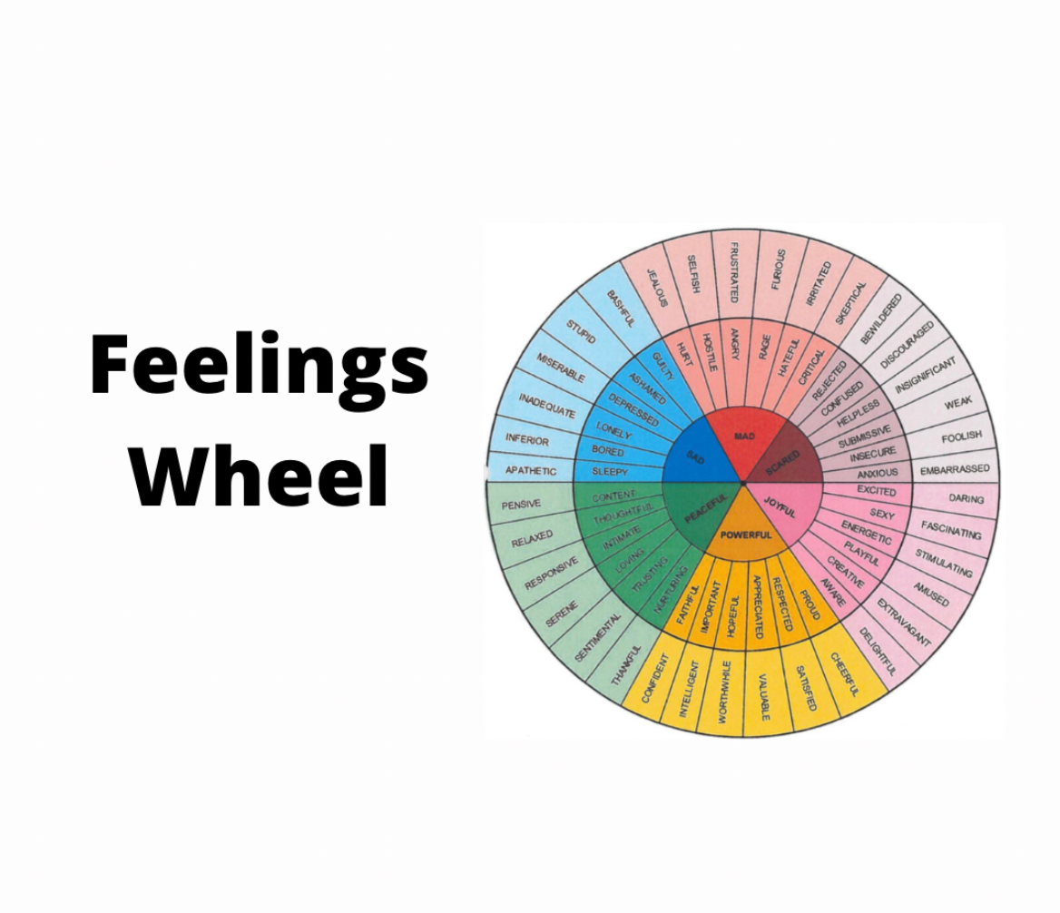 Feelings Wheel chart with multicolored emotion segments and bold title text