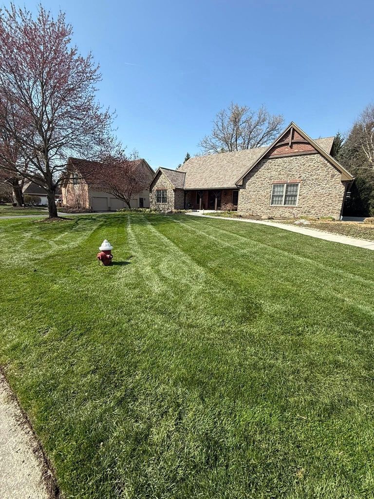 A well-manicured lawn with a fire hydrant in the foreground leads to a stone house under a clear, bright blue sky.