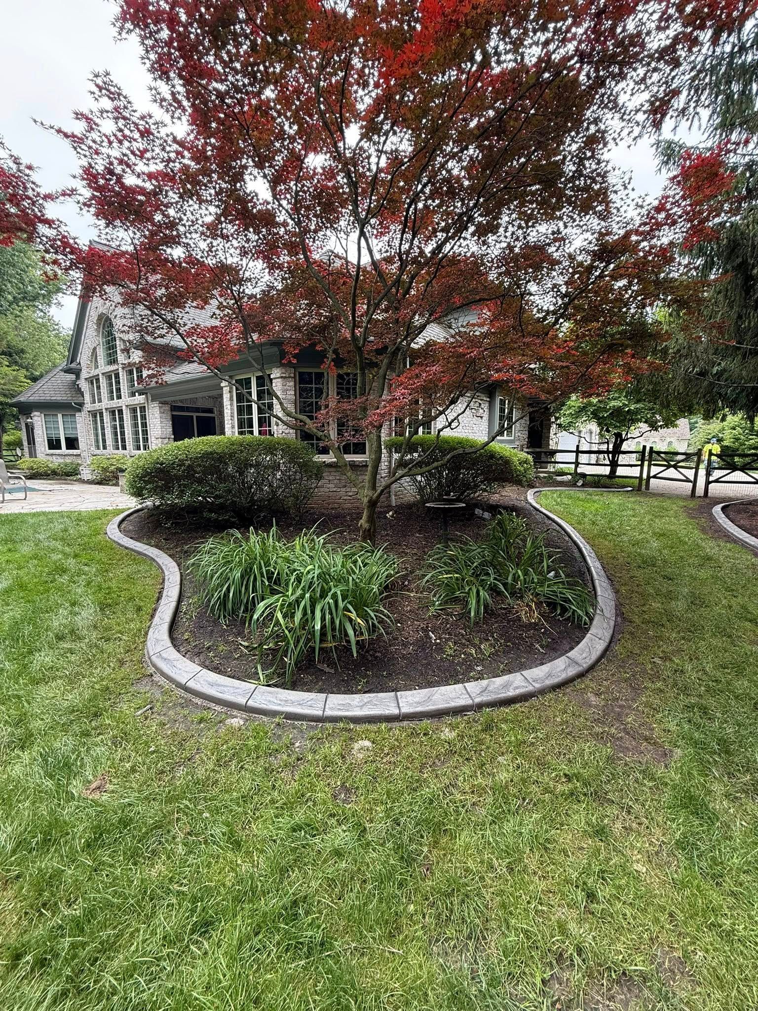 A large tree with reddish leaves sits in a landscaped garden bed with a stone border in front of a stone house.