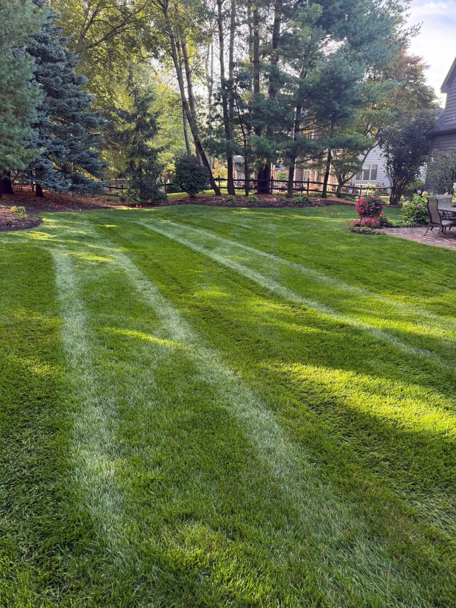Lush green lawn with distinct, pale stripes from mowing patterns, set against a backdrop of mature trees.