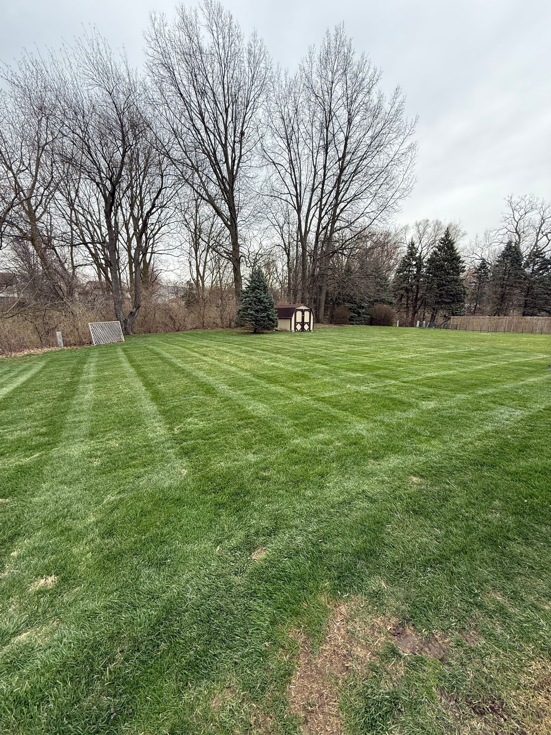 A freshly mowed green lawn in a suburban backyard with tall, bare trees under a cloudy sky.