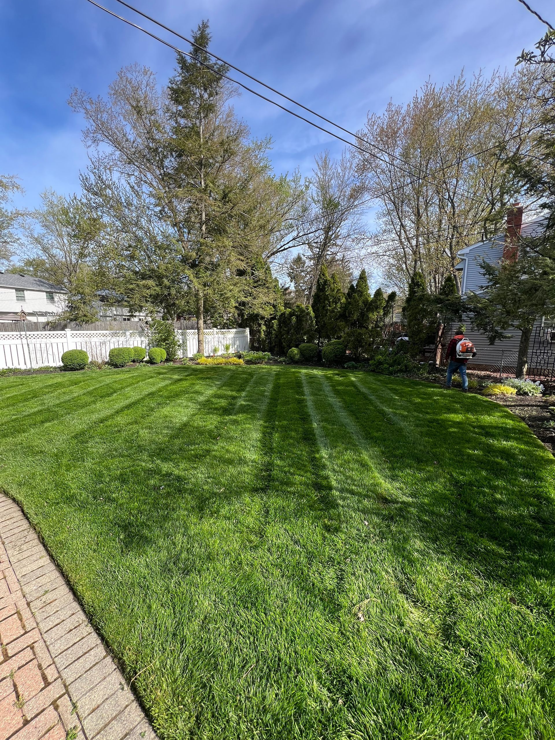 A person operates a leaf blower on a lawn with freshly mowed stripes near a brick walkway and trees under a sunny sky.