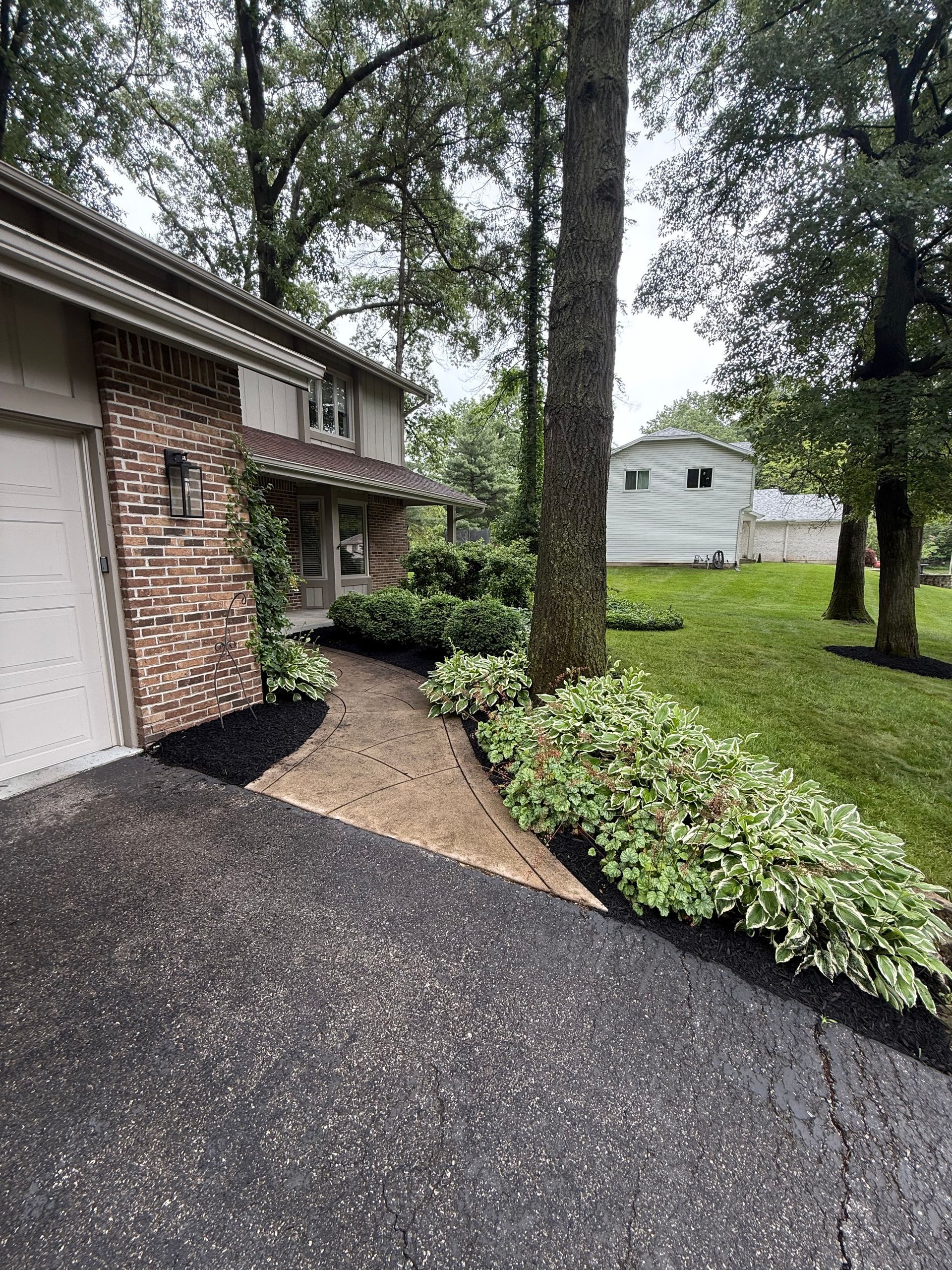 A stone walkway leads to the entrance of a brick house, bordered by mulch and green bushes under tall, leafy trees.
