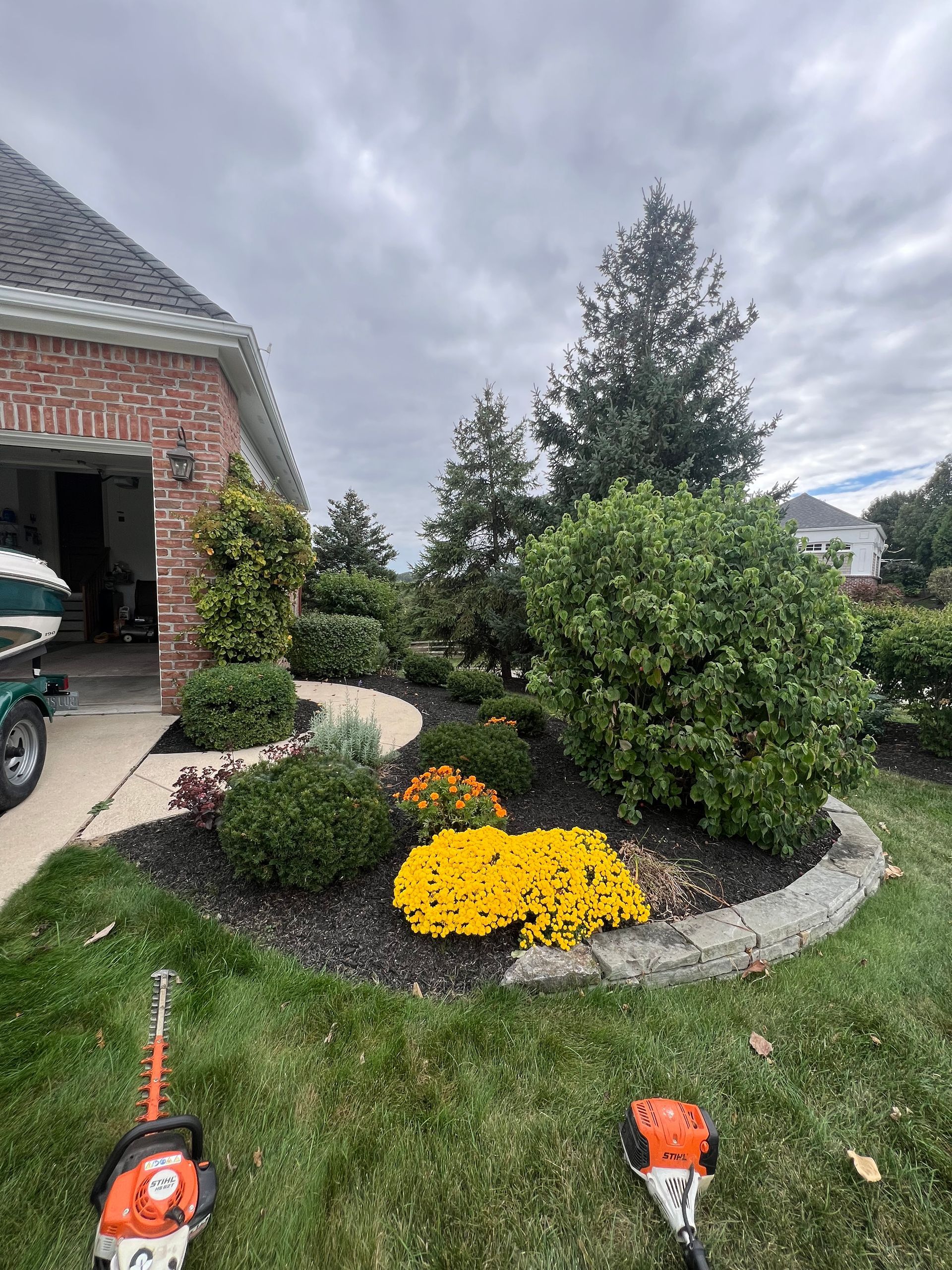 A landscaped garden bed with yellow mums and green shrubs next to a brick house, with hedge trimmers in the foreground.