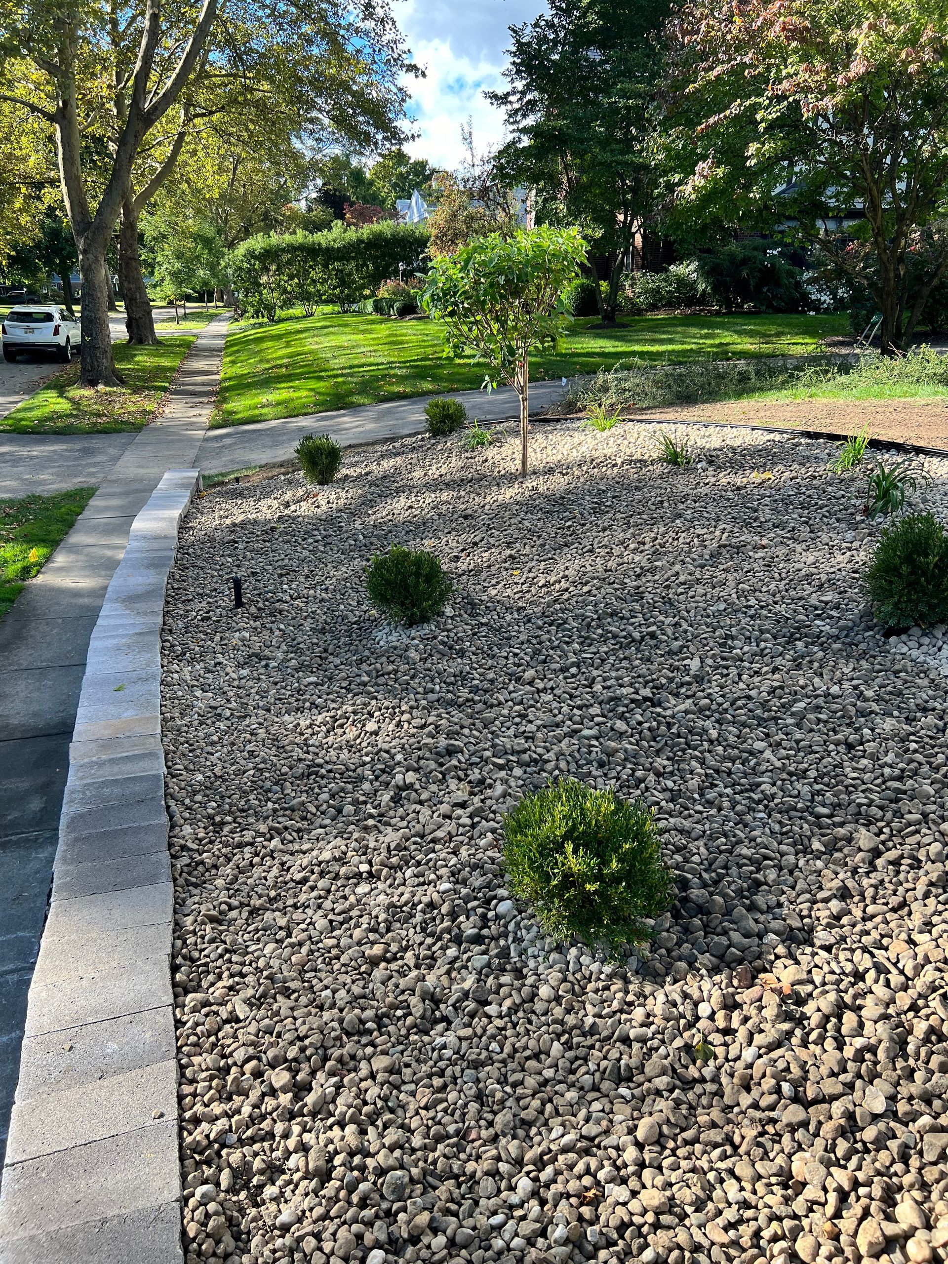 A gravel-covered garden bed with small, manicured boxwood shrubs, bordered by a stone retaining wall near a sidewalk.