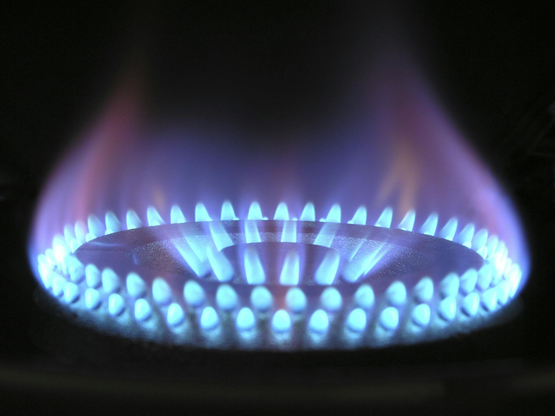 Burning blue gas flame.