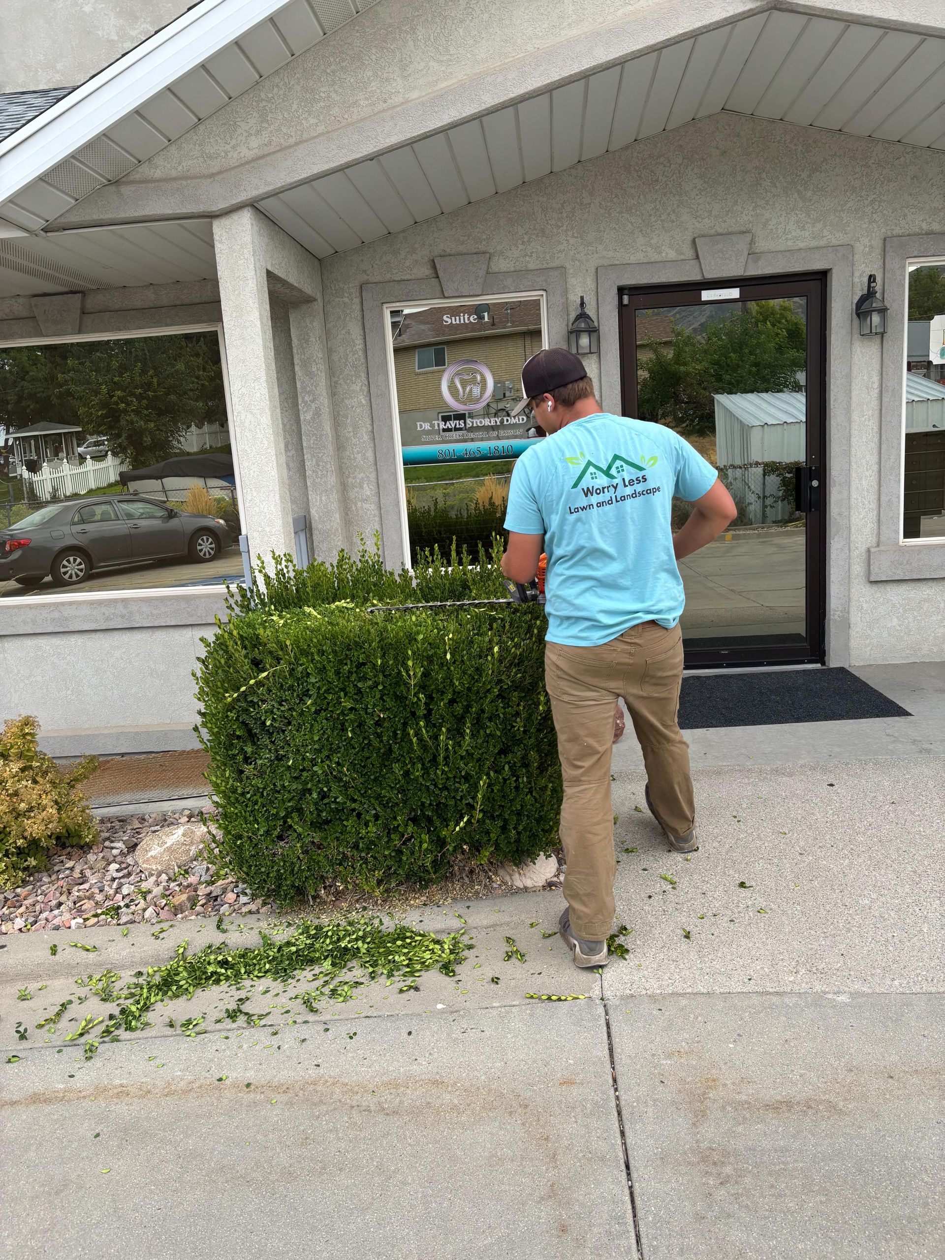 Man pruning a green bush in front of a building with a brown door, leaves on the ground.