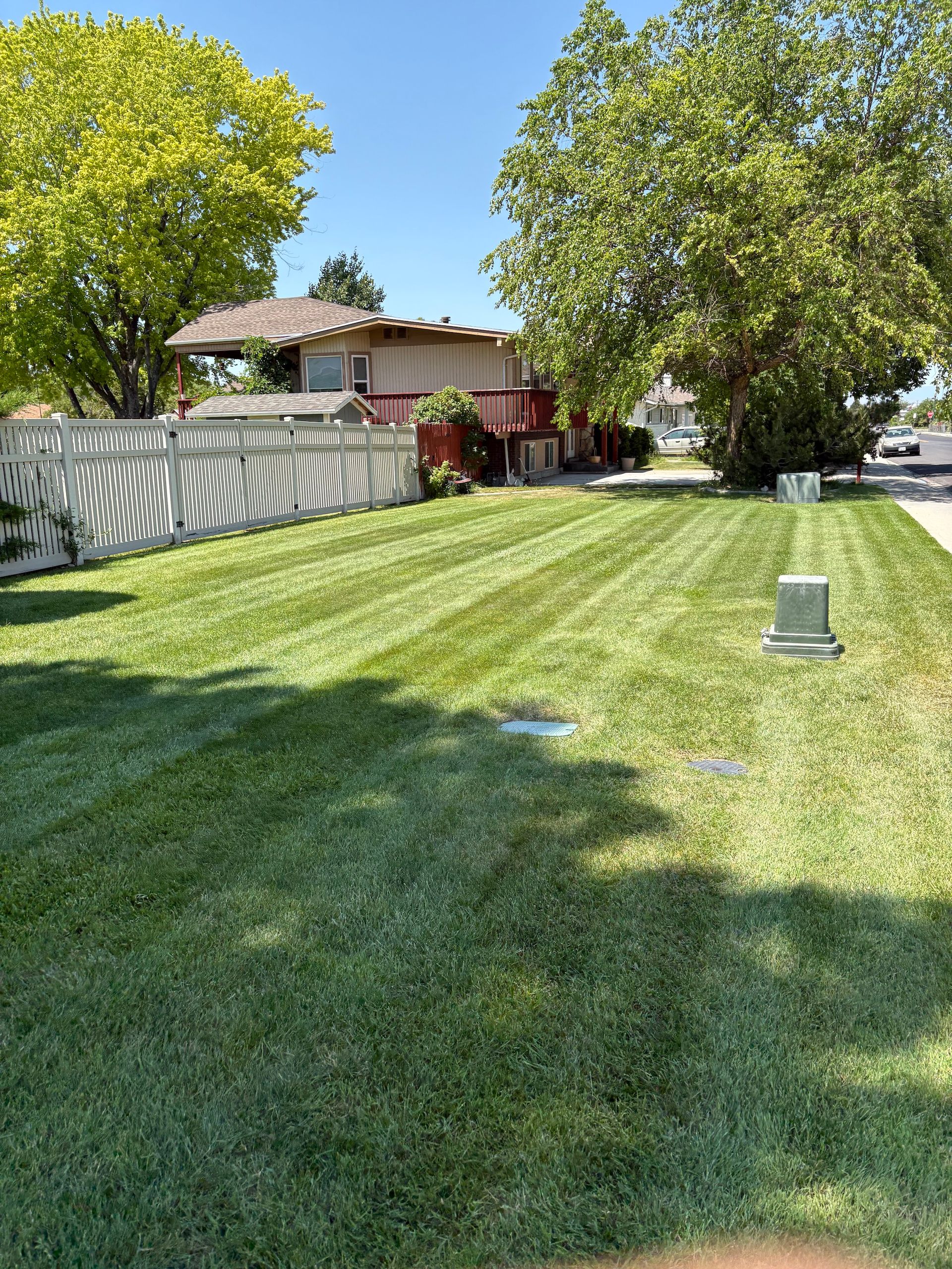 Lush green lawn with freshly cut stripes; a white fence, trees, and a sunny sky in the background.