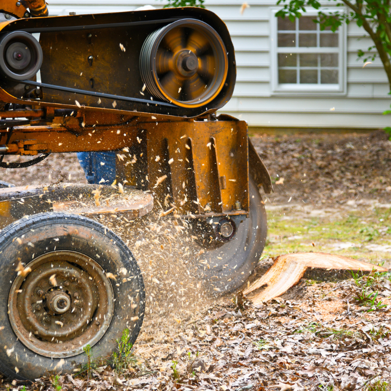 Stump Grinding