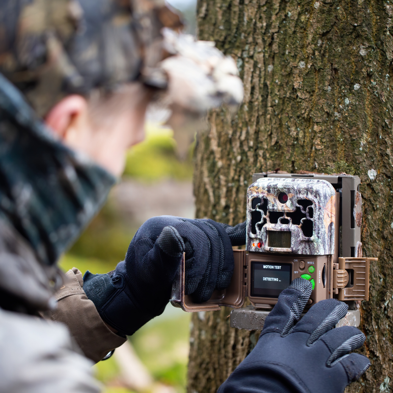 Tree Health Assessments