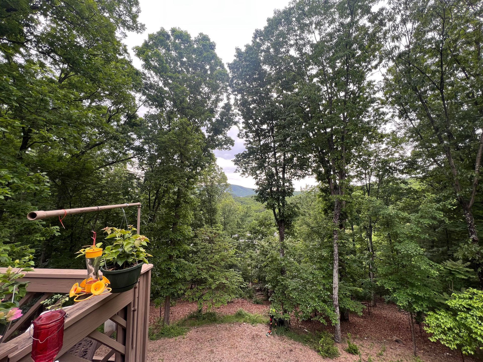 Trees