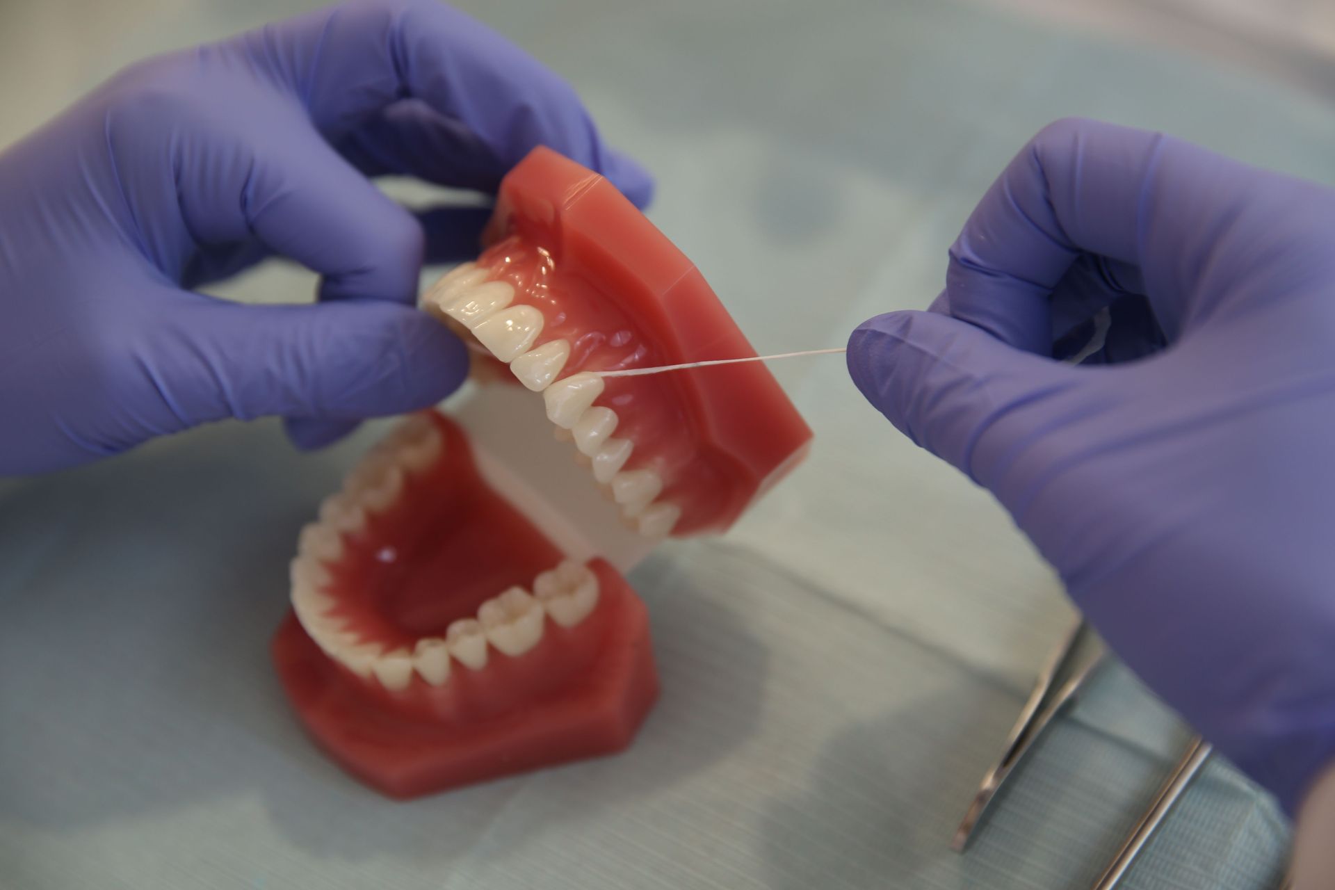 Gloved hands hold a red dental model with clear braces in a clinic setting