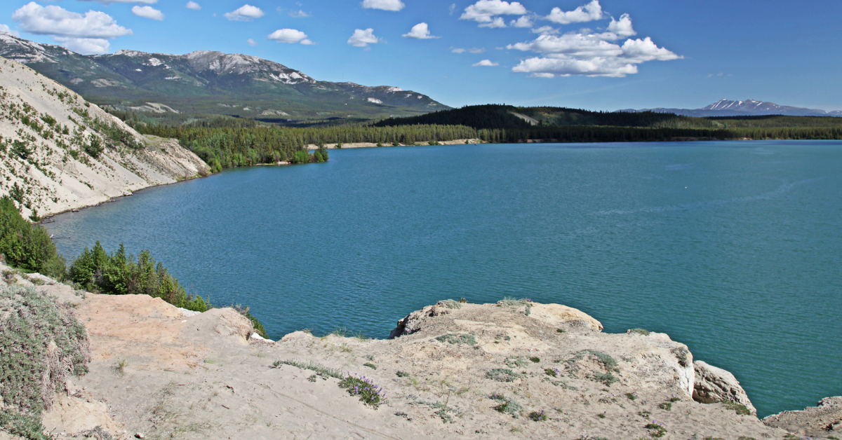 Emb&aacute;rcate en una experiencia &uacute;nica que combina lo mejor de dos mundos en un solo viaje inolvidable. En este paquete de ensue&ntilde;o, fusionamos las vibrantes experiencias culturales de Vancouver con las maravillas naturales del norte de Canad&aacute; en Whitehorse, bajo el m&aacute;gico abrazo de las Auroras Boreales.