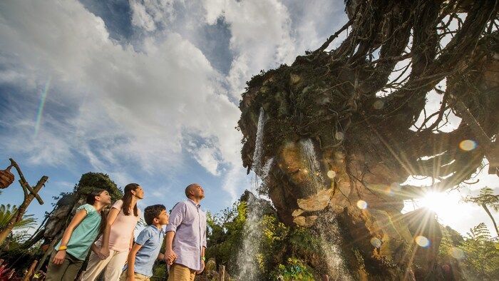 Aventuras Mágicas en Disney Animal Kingdom: Un Paquete Inolvidable