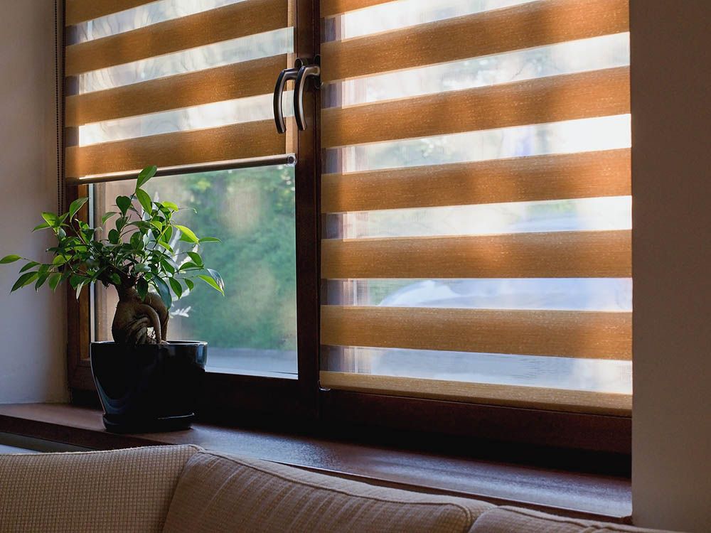 A potted plant is sitting on a window sill next to a window with blinds.