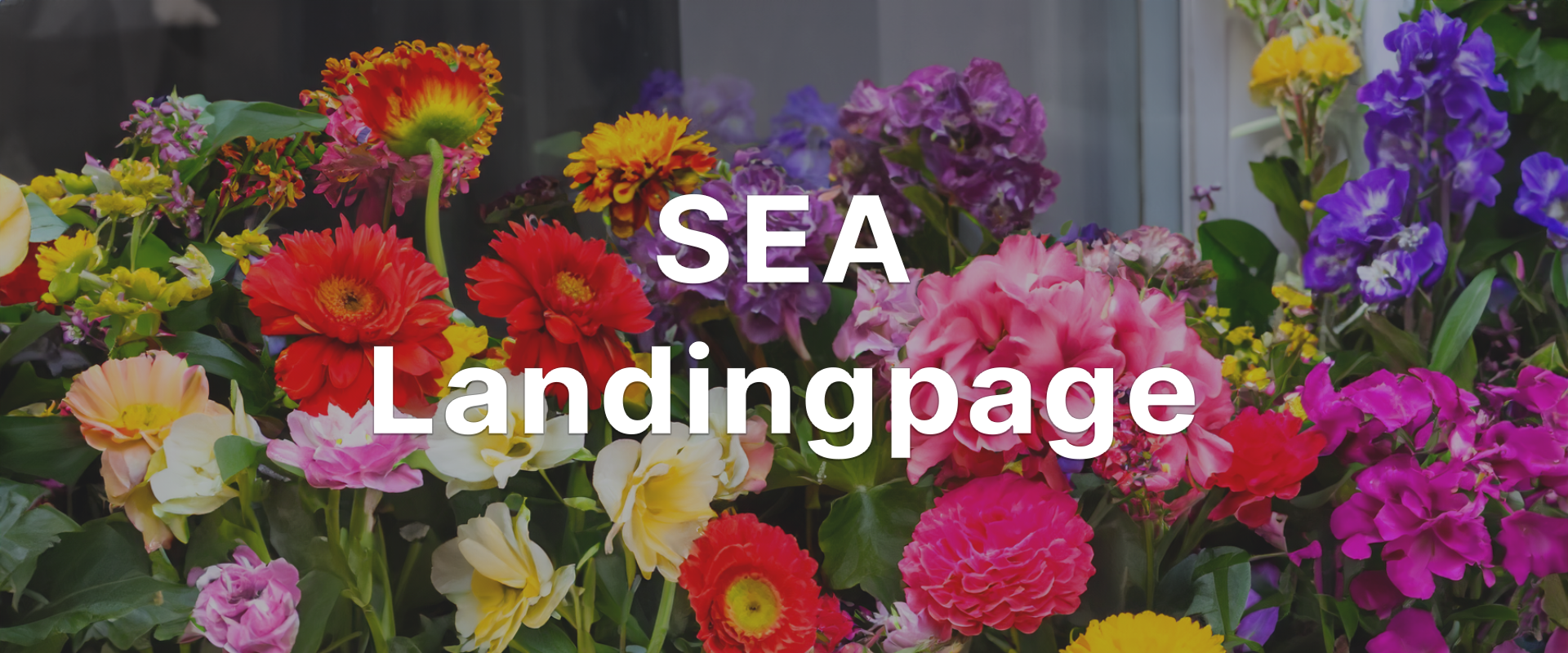 Landingpage-Optimierung: Steigern Sie Ihren Erfolg Online.