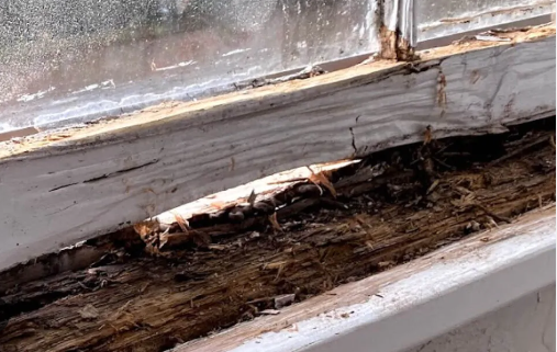 Wood Window Dry Rot Repair Portland, Oregon