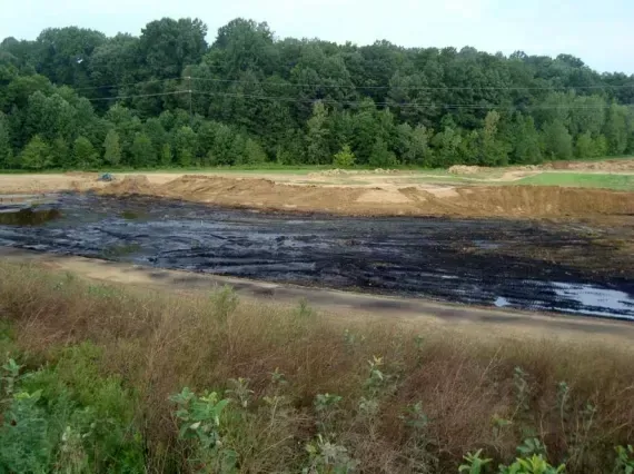 Wetlands