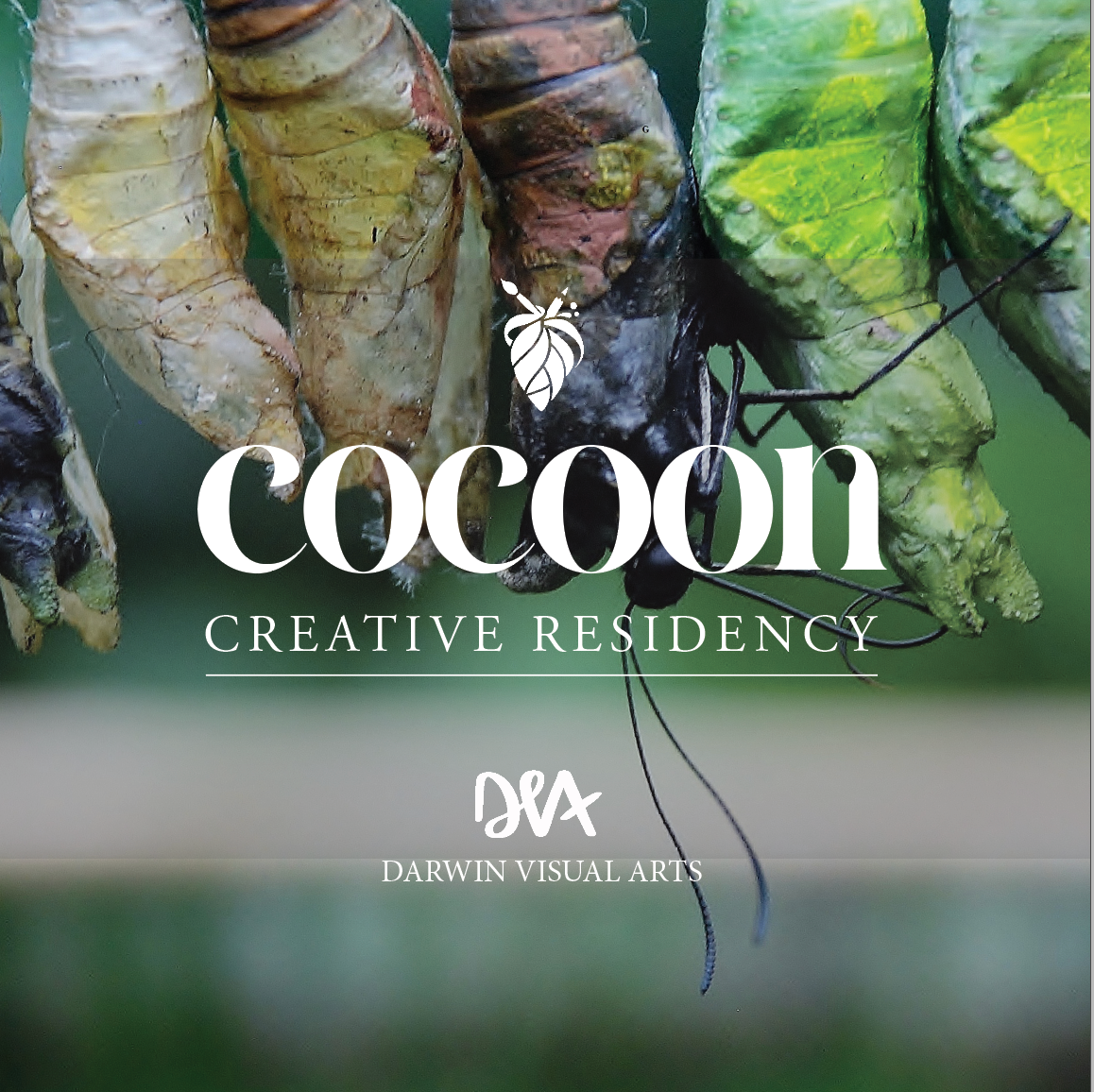 Cocoon Residency. A 3-month creative community to guide you through the wet season.
