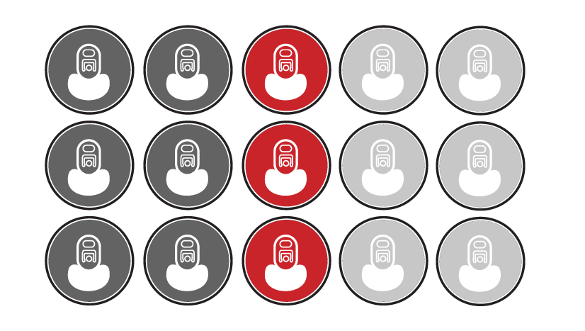 Grid of 15 circular icons with a central vertical column highlighted red and the others gray. 15 pack beverage co packer.