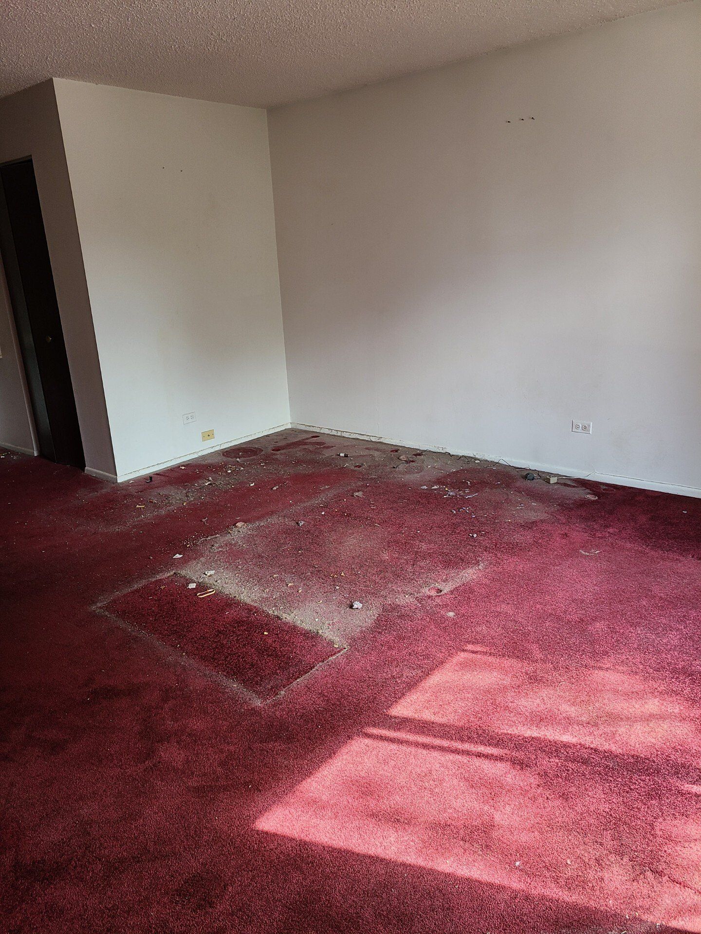 Home Cleaned Out of Junk in Orland Park, IL