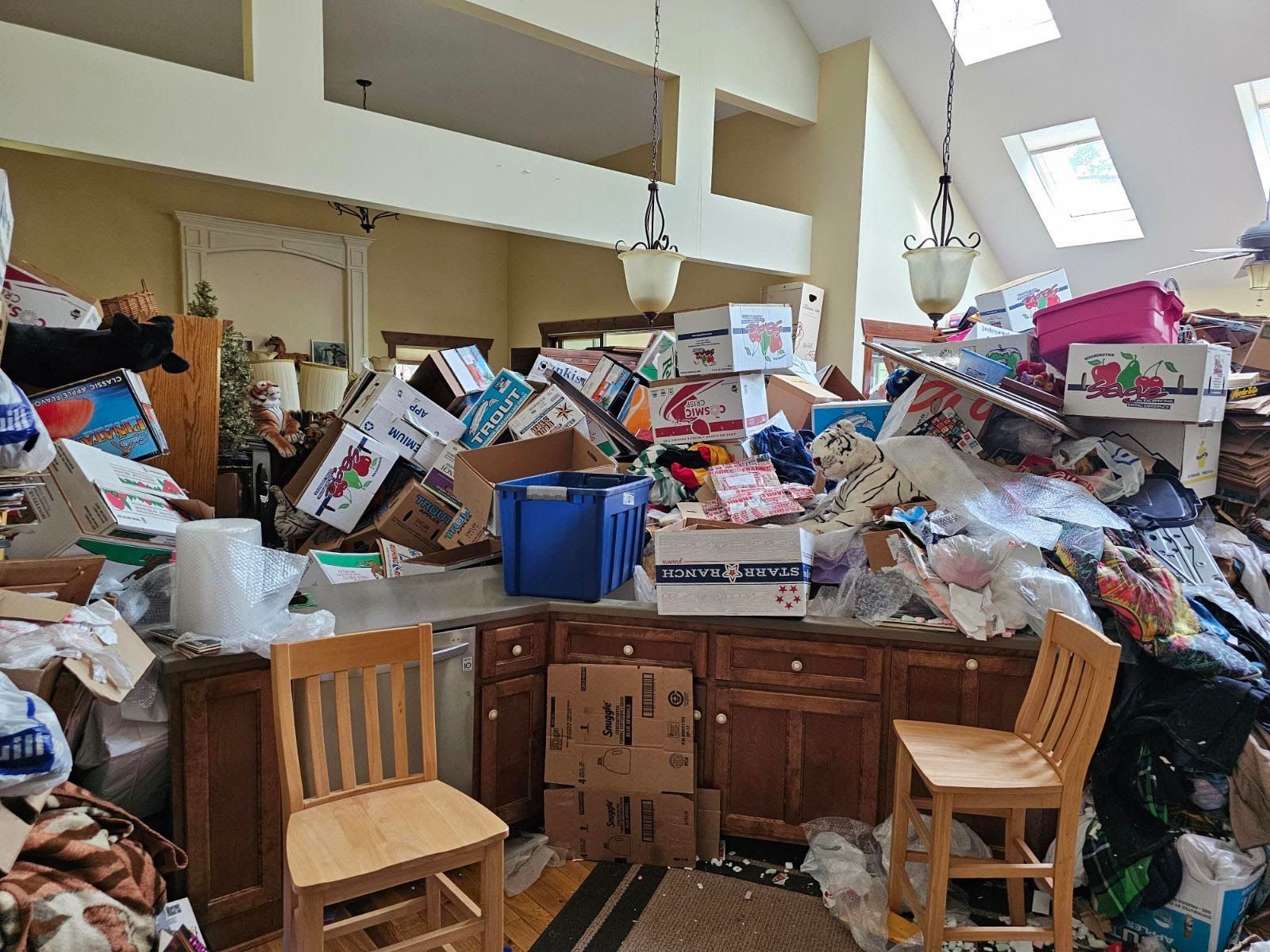 Before hoarding cleanup in Chicago, IL