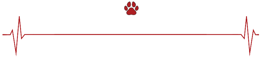 Veterinary Hospital in The Hunter Region