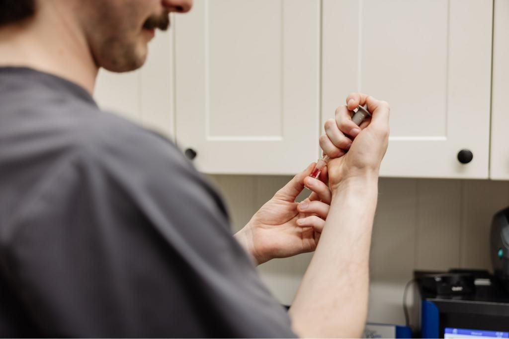 A Man is Getting an Injection for Blood Sample — Westlakes Veterinary Hospital in Fennell Bay, NSW