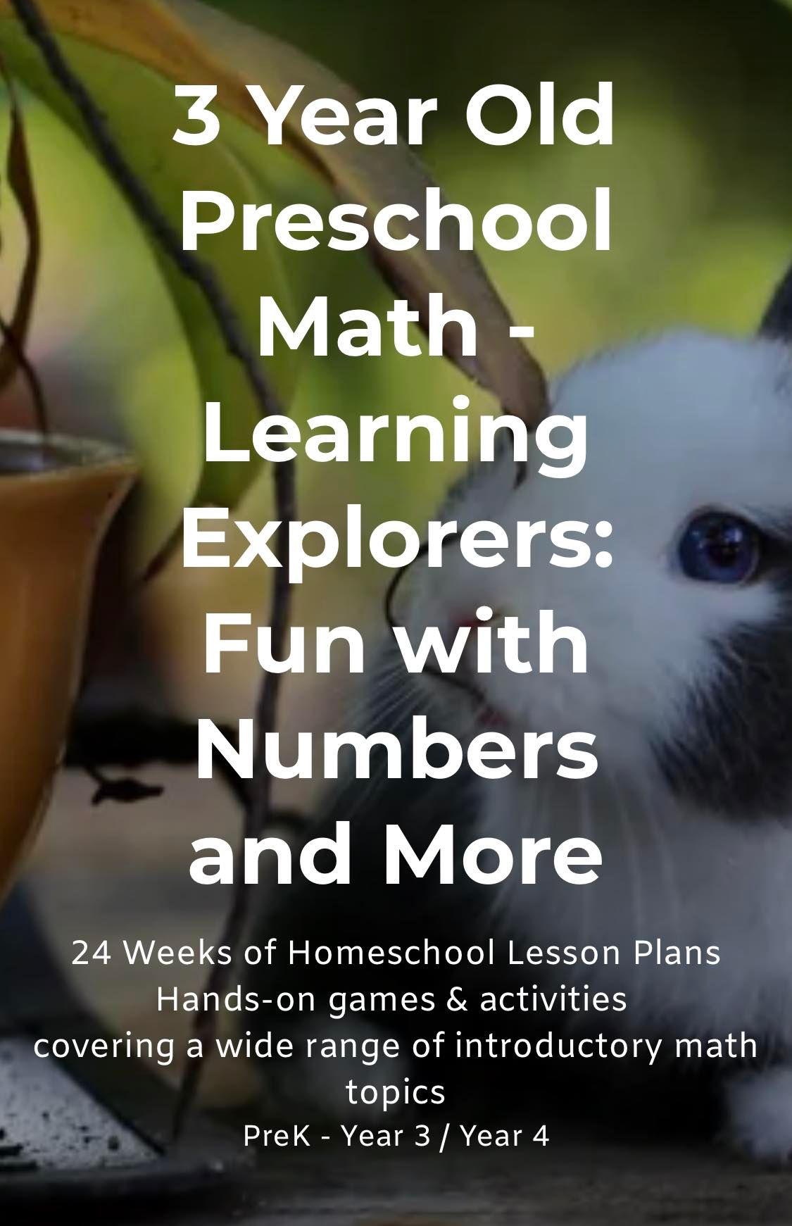 3-year-old preschool math cover with panda illustration and number-learning text