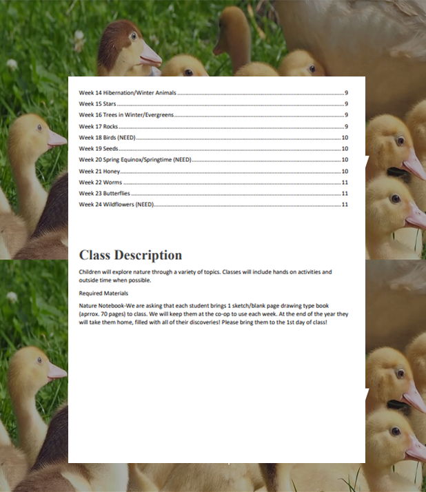 Website class description page over duck background, with course list and description text in a white panel
