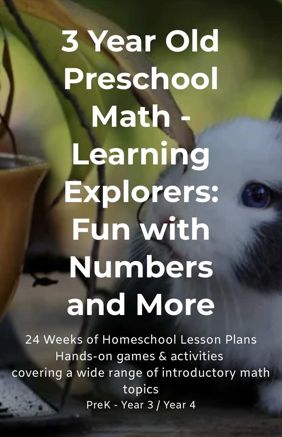 Preschool math lesson cover with white text over a panda and brown animal background