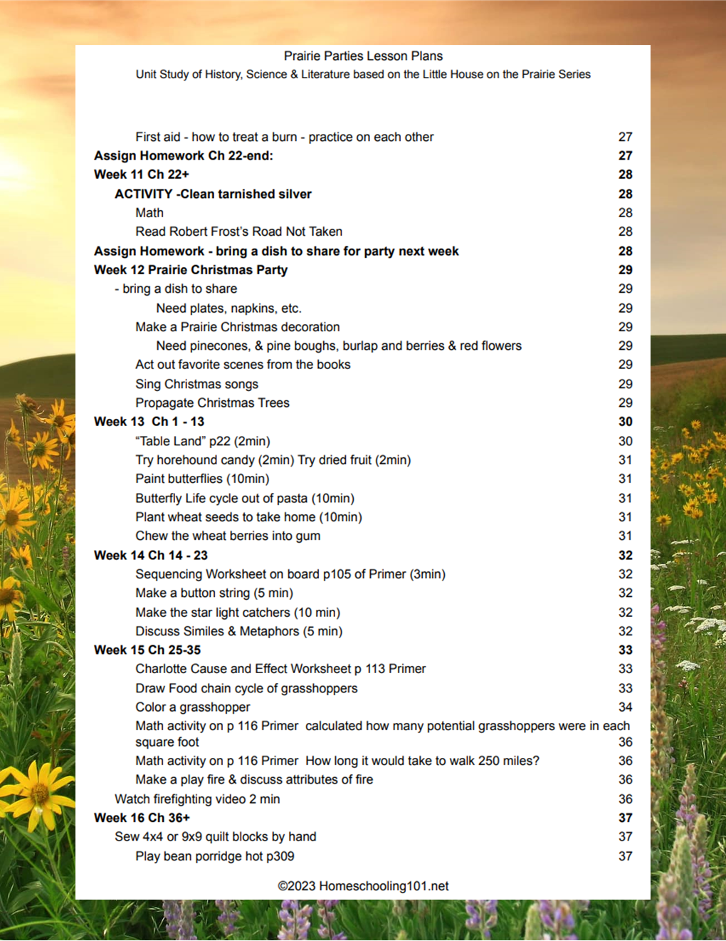 Blurry white document with bullet points and page numbers over a field of yellow flowers at sunset