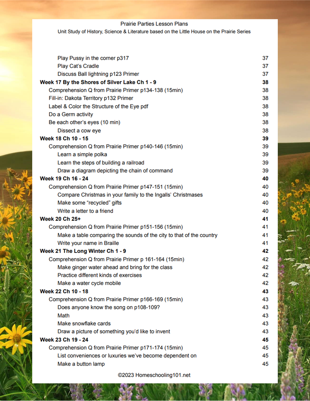 Blurry church bulletin table of contents over a sunset meadow with yellow flowers.