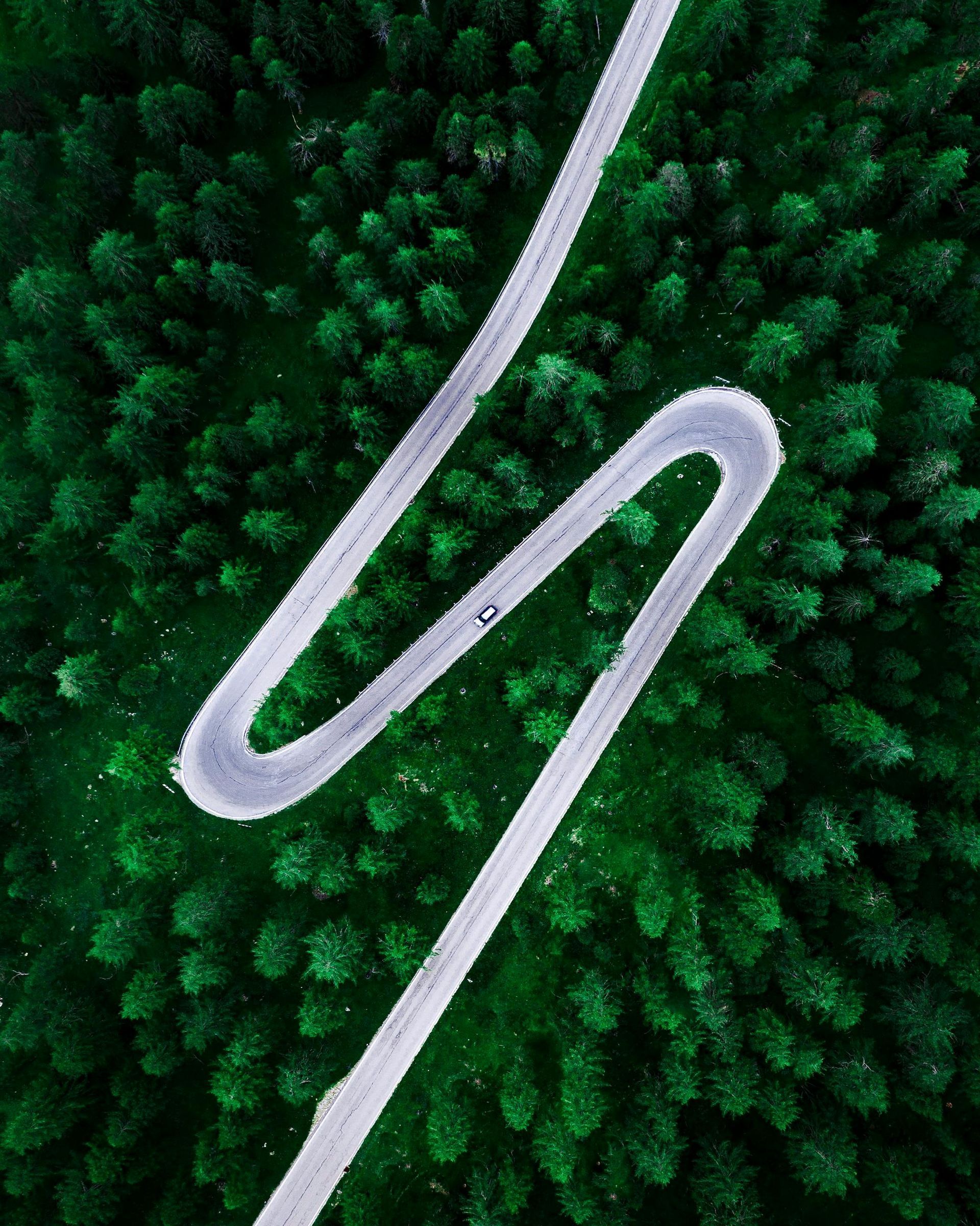 A winding gray road curves through dense green forest