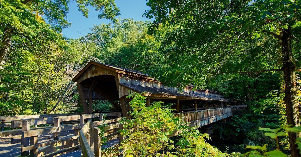 Wooden covered bridge in a lush green forest, sunlit and surrounded by trees