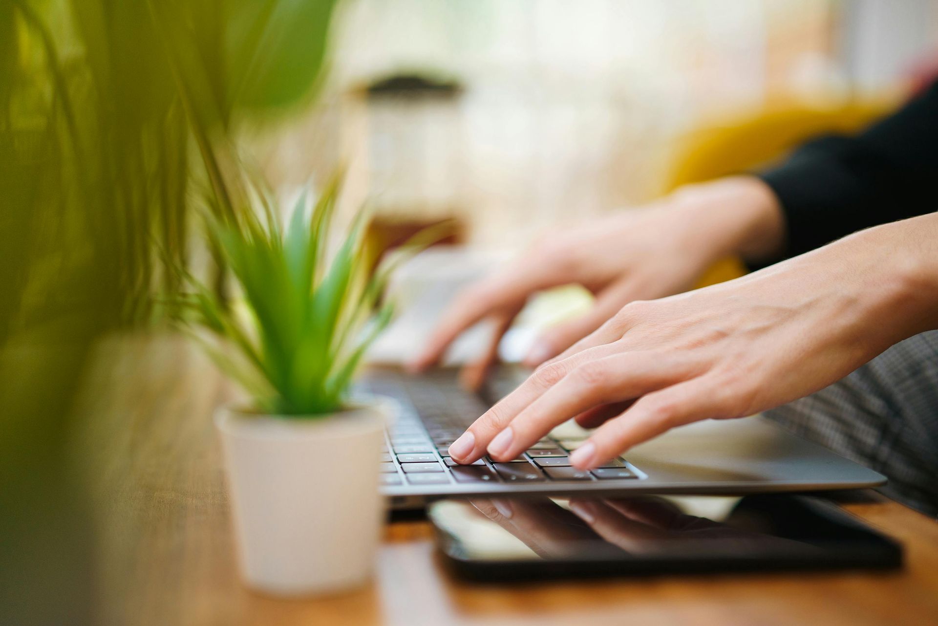 Hands typing on a laptop beside a small potted plant on a desk