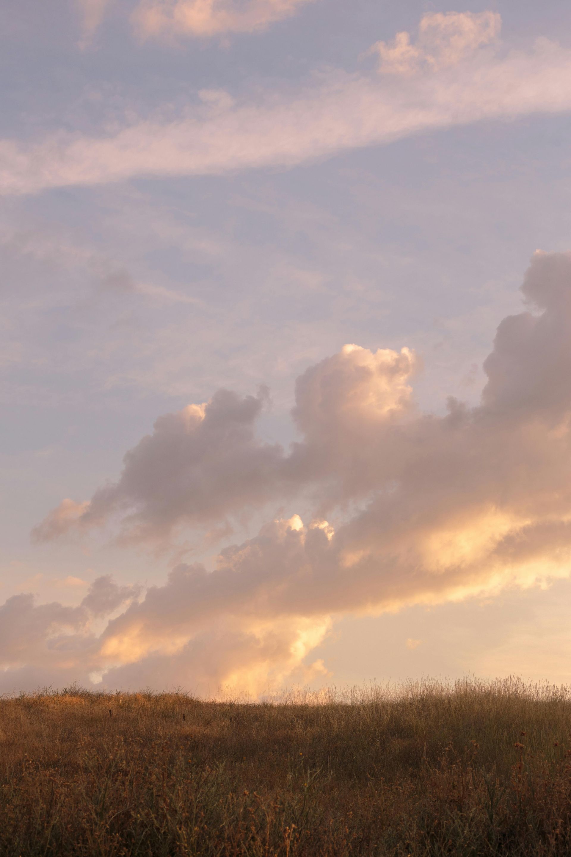 Pastel sunset sky with soft clouds over a grassy field
